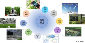 互聯(lián)網(wǎng)+農(nóng)業(yè) 托比研究2015年B2B行業(yè)報(bào)告